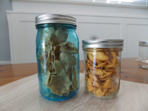 vacuum sealed chips